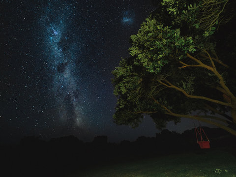 Milky way trree
