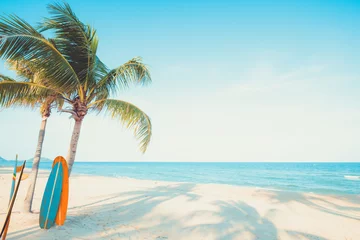 Zelfklevend Fotobehang Vintage surf board with palm tree on tropical beach in summer. vintage color tone © jakkapan