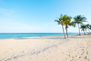 Fototapeta na wymiar Beautiful landscape of coconut palm tree on tropical beach (seascape) in summer. Summer background concept.