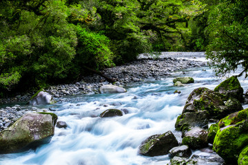 Fototapeta premium A blue glacier river among the green nature.