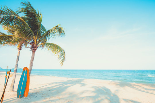 Vintage surf board with palm tree on tropical beach in summer. vintage color tone