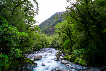 Fototapeta na wymiar A blue glacier river among the green nature.