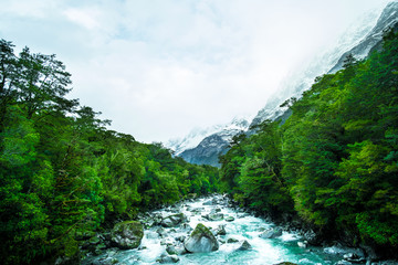 Naklejka na ściany i meble A blue glacier river among the green nature.