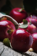 Red autumn apples with drops on rustic wooden background, selective focus