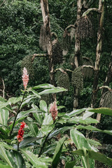 Beautiful agriculture