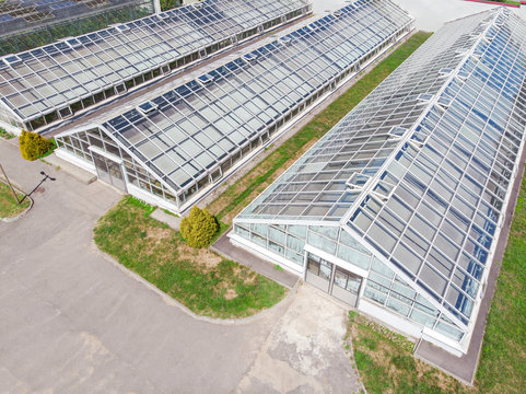 row of glass greenhouses for vegetable production. aerial photo
