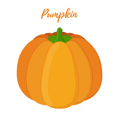 Vector orange pumpkin, Halloween symbol. Gourd in cartoon flat style