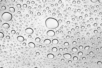 Water droplets on a car window