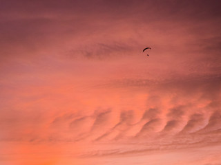 Obraz na płótnie Canvas Paragliding at Sunset