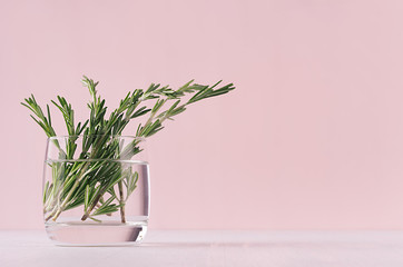 Elegance home decor - fragrant bouquet fresh rosemary in glass vase on white table and fashion pink background.