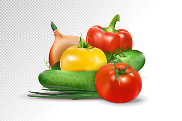 Fresh vegetables on transparent background. Tomatoes, cucumbers, pepper and onion composition. Realistic vector, 3d illustration