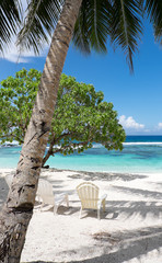 View onto a white sand beach with trees, shade and chairs for relaxation on a sunny day, looking towards the South Pacific Ocean. Photographed on Upolu Island, Samoa, Portrait orientation.