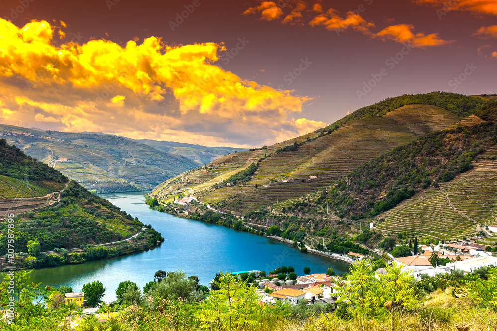 Canvas Prints river douro region at sunrise