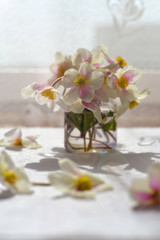 Snowdrops on the table. White flowers in the sun. Bouquet of flowers in a jar with water