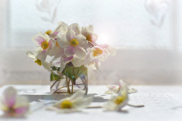 Snowdrops on the table. White flowers in the sun. Bouquet of flowers in a jar with water