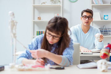 Two medical students studying in classroom