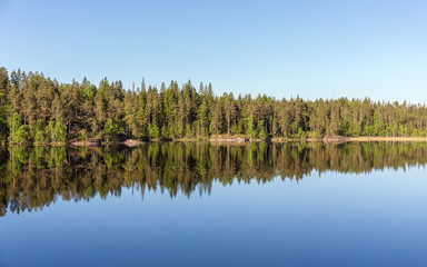 Obraz premium shore of the forest lake