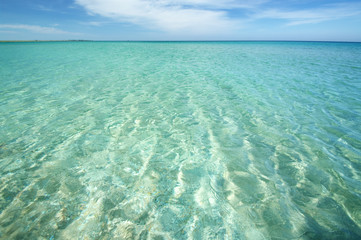Summer sea beach