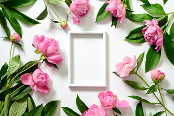 Peonies background with a space for a text