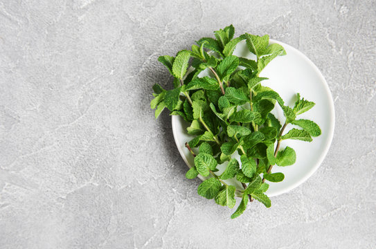 Plate with fresh mint