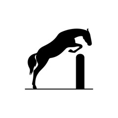 Horse jumping over the barrier
