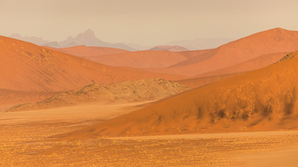 Fototapeta na wymiar les couleurs du désert, Sossuvlei