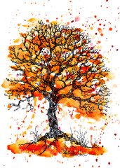 Watercolor and ink orange tree with splashes