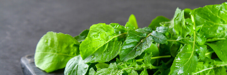 Fresh green home arugula leaves, rucola. Salad.