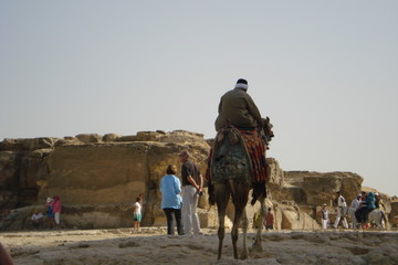 &Auml;gypten Kamel mit Reiter in der W&uuml;ste