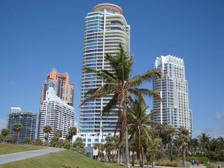 Fototapeta na wymiar Miami Hochhäuser und Palmen