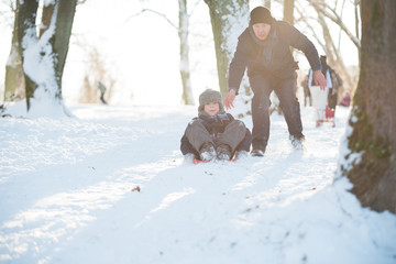 Father sledging with his son in the winter