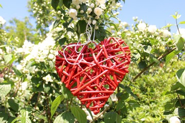 Rotes Herz im Jasminstrauch