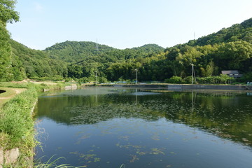 Obraz premium 日本の山の中の池