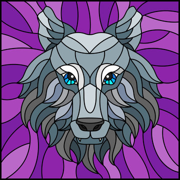 The illustration in stained glass style painting with a wolf head , on purple background, square image