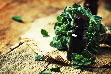 Organic essential oregano oil in a glass jar and a bunch of fresh marjoram, vintage wooden...
