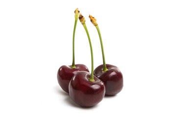 cherry isolated