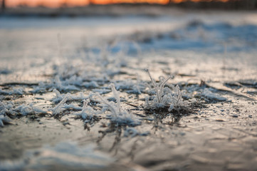 Grass bushes covered with snow frost. Soft selective focus. Delicate vegetation are frosty on the winter sunset. Beautiful winter evening in the fresh air. Close up. Kakerdaja nature trail. Estonia.