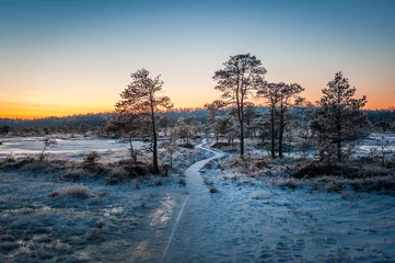 Holzweg durch schneebedeckten Sumpf. Schöner Winterabend und kalter frostiger Wintersonnenuntergang. Selektiver Fokus. Kakerdaja-Naturlehrpfad. Estland. © Regina