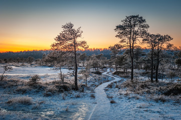 Wooden path through marsh covered with snow. Beautiful winter evening and cold frosty winter...
