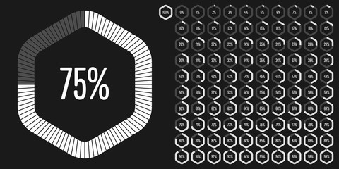 Set of rectangle percentage diagrams from 0 to 100 ready-to-use for web design, user interface (UI) or infographic - indicator with white