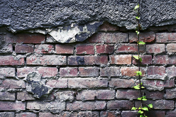 Old wall background. Grunge background. Backgrounds.