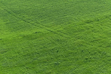 Türaufkleber Eine grüne Wiese    © Joachim Heller