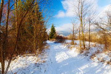 Beautiful mountain snowy landscape and forest path. Beautiful sunny day in the mountains.