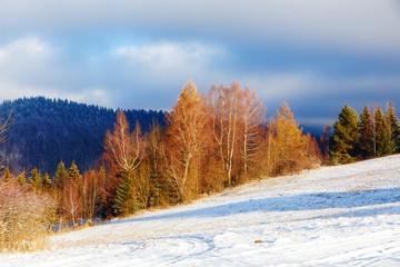 Fototapeta premium Beautiful mountain snowy landscape. Beautiful sunny day in the mountains.