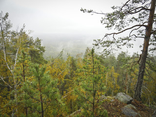 Landscape: rainy autumn in the mountains and fog