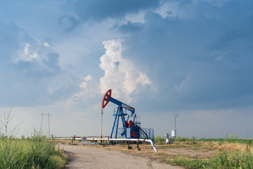 Fototapeta na wymiar Working oil rig in a cornfield