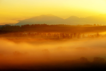 A beautiful morning landscape with sunshine and fog.