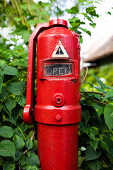 Red fire hydrant in the garden