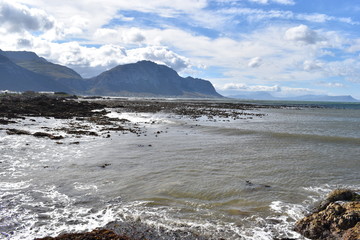 Landscape and beach in Betty´s Bay with cute Jackass penguins near Cape Town, South Africa