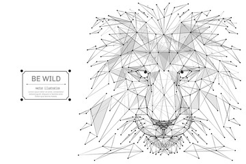 Abstract mash line and point Abstract vector image of lion origami on white background with an inscription. Lion's head Low poly wire frame illustration. Vector wild animal illustration © AntonKhrupinArt